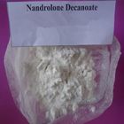 Polvere cruda 360-70-3 di Decanoate Deca Durabolin delle nandrolone della polvere degli steroidi anabolizzanti di 99%