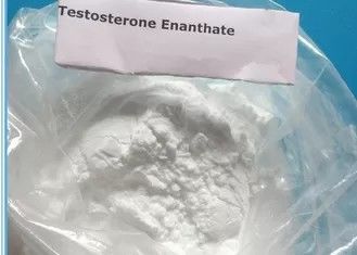 Gli steroidi anabolizzanti spolverizzano la polvere di Enanthate del testosterone di 99% usata per muscle la costruzione 315-37-7