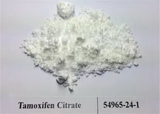 99,5% gli steroidi della purezza spolverizzano il citrato di tamoxifene/polvere cruda CAS 54965-24-1 di Nolvadex