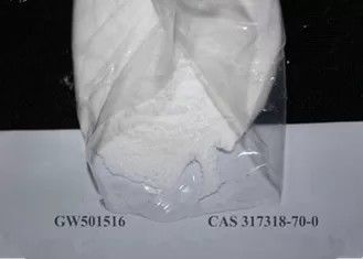 CAS 317318-70-0 steroidi Gw501516 Cardarine di SARMs per resistenza/combustione grassa