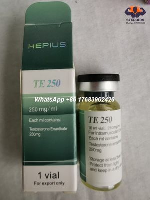 Testosterone iniettabile Enanthate 250mg/ml 315-37-7 degli steroidi anabolizzanti